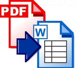 Convertire online PDF in Word