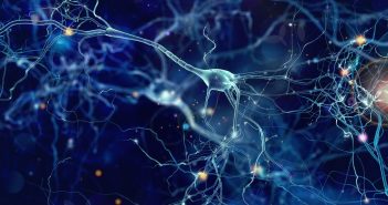Come funzionano le reti neurali? Spiegazione facile dell’AI
