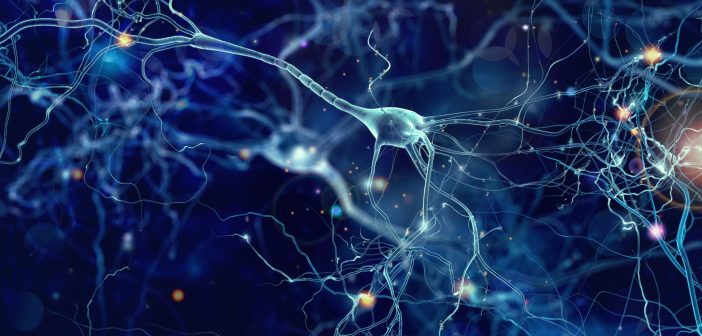 Come funzionano le reti neurali? Spiegazione facile dell’AI