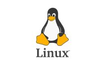 La nascita di Linux: la rivoluzione open source di Linus Torvalds