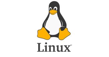 La nascita di Linux: la rivoluzione open source di Linus Torvalds La nascita di Linux: la rivoluzione open source di Linus Torvalds