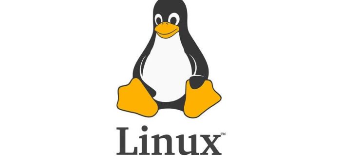 La nascita di Linux: la rivoluzione open source di Linus Torvalds