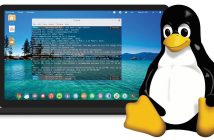 La guida completa alla scelta di una distribuzione Linux