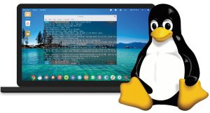La guida completa alla scelta di una distribuzione Linux
