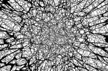 Etica e Intelligenza Artificiale: le grandi sfide del nostro tempo