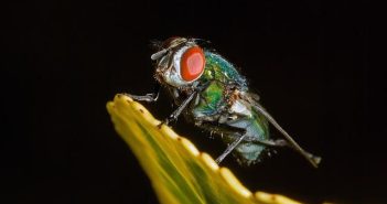 Photoshop 1.0: com’era il software che ha inventato il fotoritocco