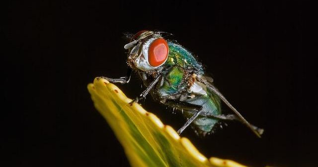 Photoshop 1.0: com’era il software che ha inventato il fotoritocco