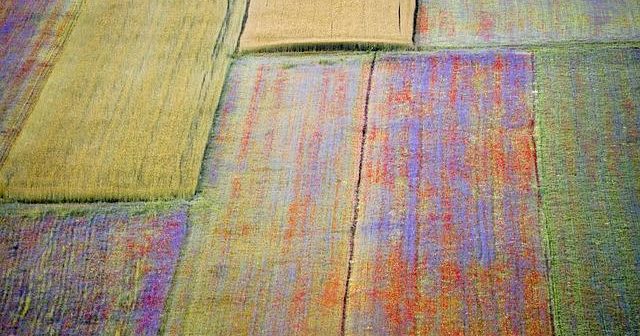 Come risparmiare sulla cosmesi: i dupe economici dei prodotti beauty di lusso