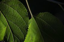 Risparmiare sulle bollette luce e gas: come leggere i costi fissi nascosti