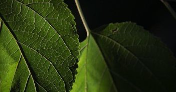 Risparmiare sulle bollette luce e gas: come leggere i costi fissi nascosti