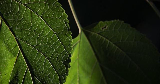 Risparmiare sulle bollette luce e gas: come leggere i costi fissi nascosti