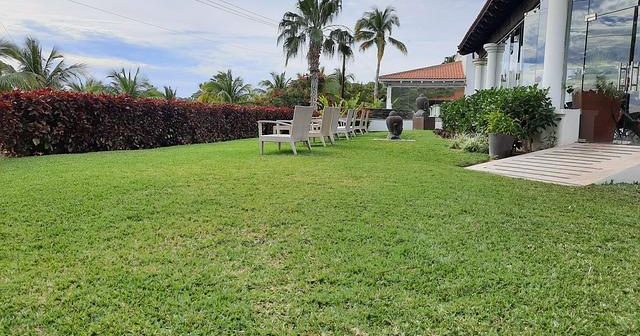 Buoni pasto per liberi professionisti: vantaggi fiscali e dove usarli online