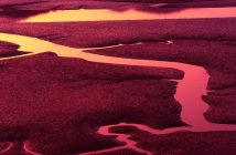 Risparmiare in palestra: le migliori alternative low cost e gli allenamenti a casa