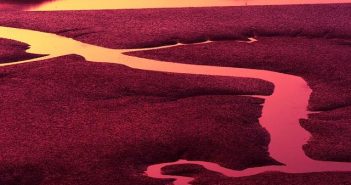 Risparmiare in palestra: le migliori alternative low cost e gli allenamenti a casa