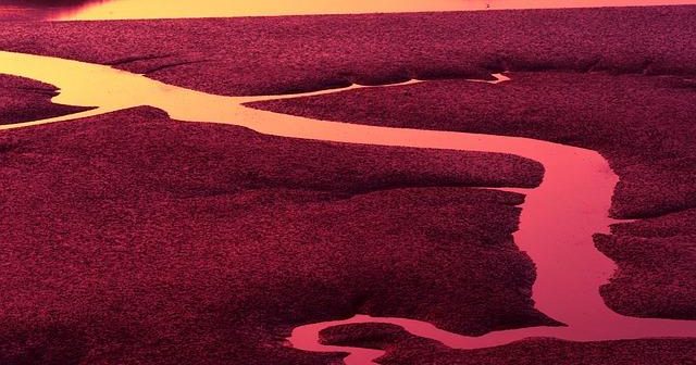 Risparmiare in palestra: le migliori alternative low cost e gli allenamenti a casa